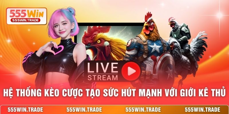 Hệ thống kèo cược tạo sức hút mạnh với giới kê thủ