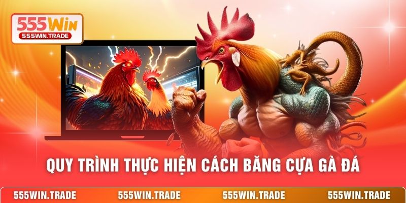 Quy trình thực hiện cách băng cựa gà đá