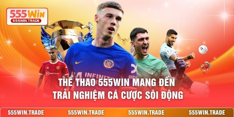 Thể thao 555WIN mang đến trải nghiệm cá cược sôi động