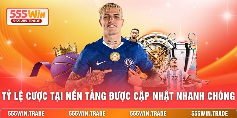 Tỷ lệ cược tại nền tảng được cập nhật nhanh chóng